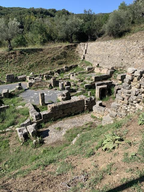       Ruins of an ancient site with stone walls and greenery.
  