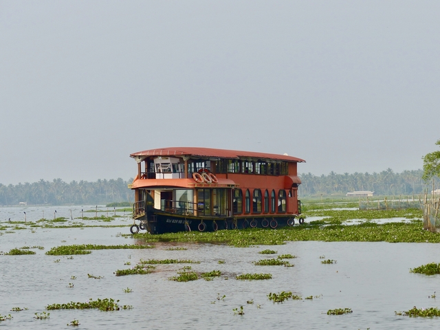 Traditional houseboat on a calm river with vegetation.