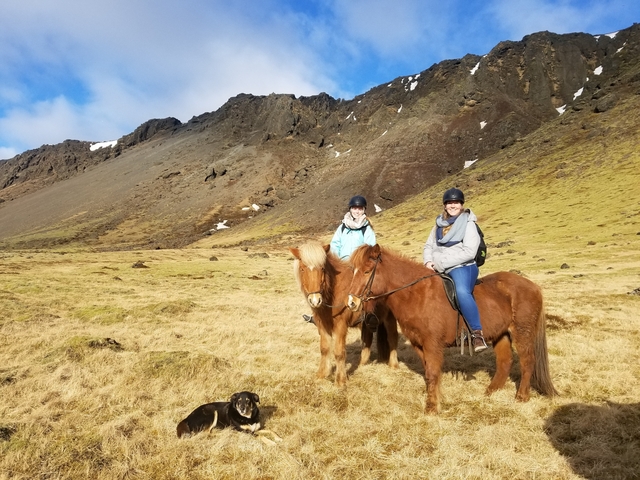 Two people horseback riding in an Icelandic landscape.