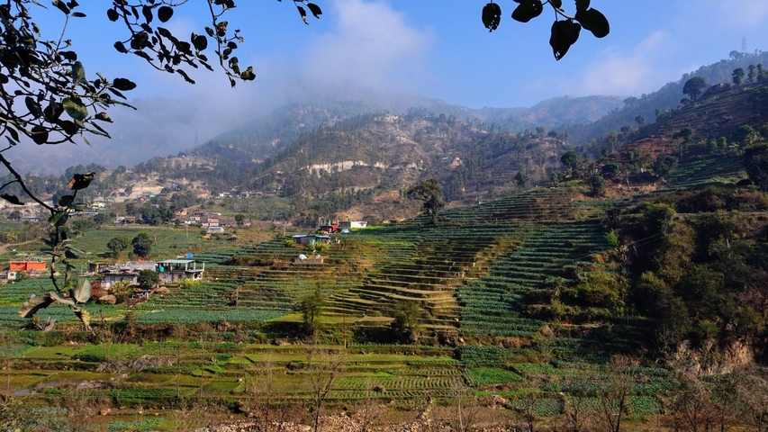 Terraced fields on a mountainside with scattered houses.
