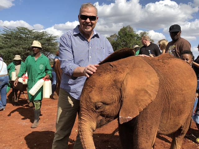       A person posing with a baby elephant and others in the background.
  