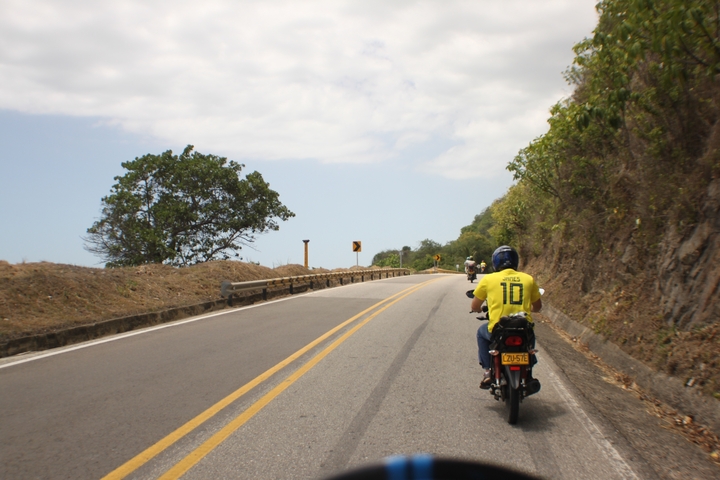       Motorcyclist riding down a scenic road with a tree-lined view.
  