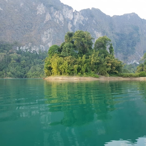 A small lush island with green trees surrounded by clear blue water.