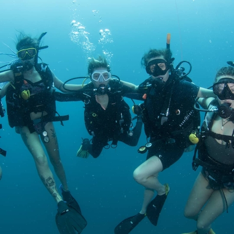 Group of scuba divers posing underwater.