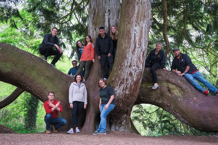 Group of people posed on a large tree.