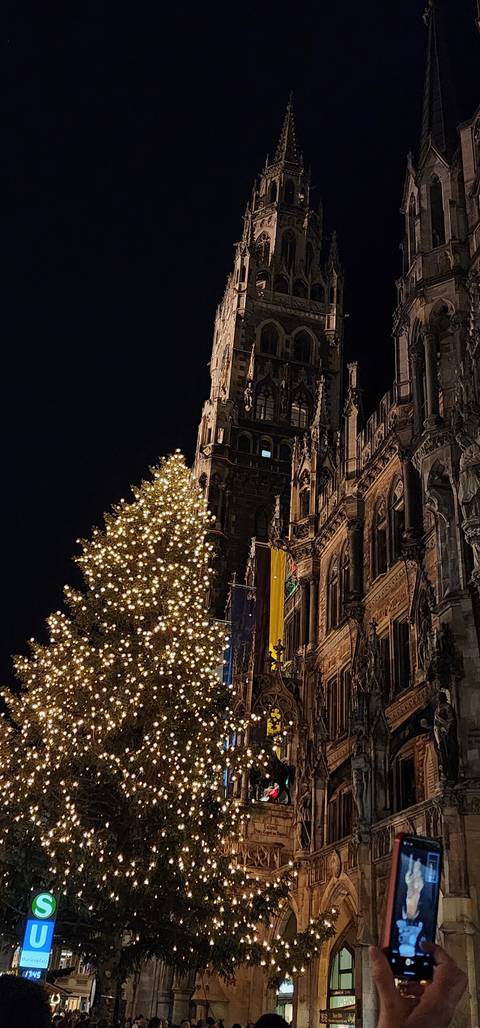       Illuminated Christmas tree in front of a gothic church.
  