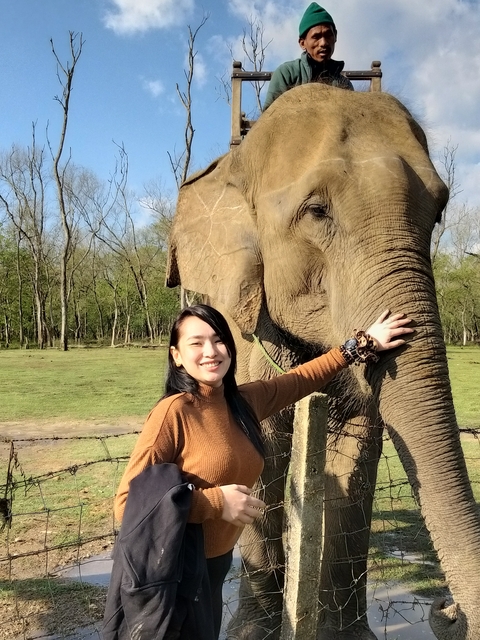 Woman smiling while touching an elephant.