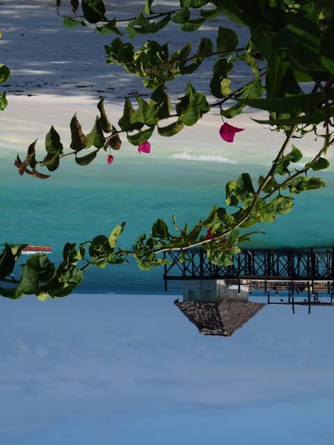 Tropical beach with turquoise water.