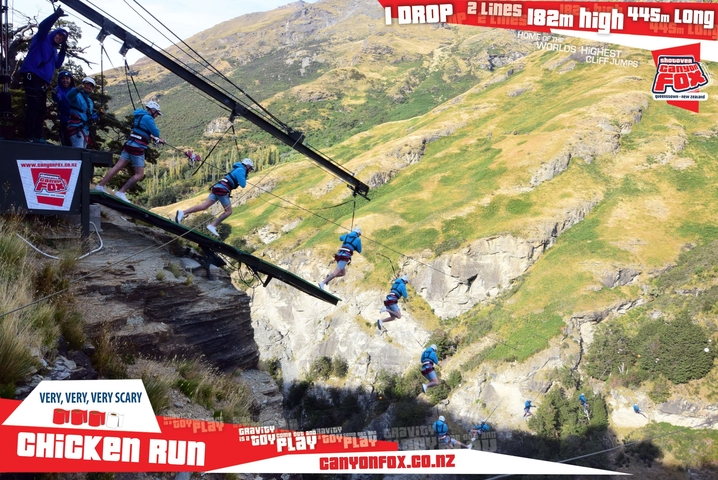       Person on a high-adrenaline swing above a canyon.
  
