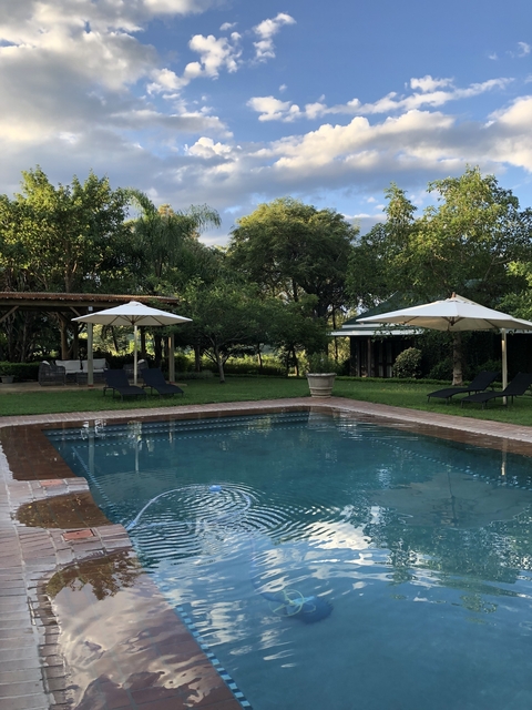       Swimming pool surrounded by trees and lounge chairs.
  