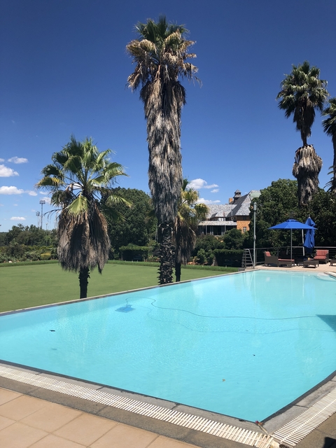       Luxury swimming pool area with palm trees.
  