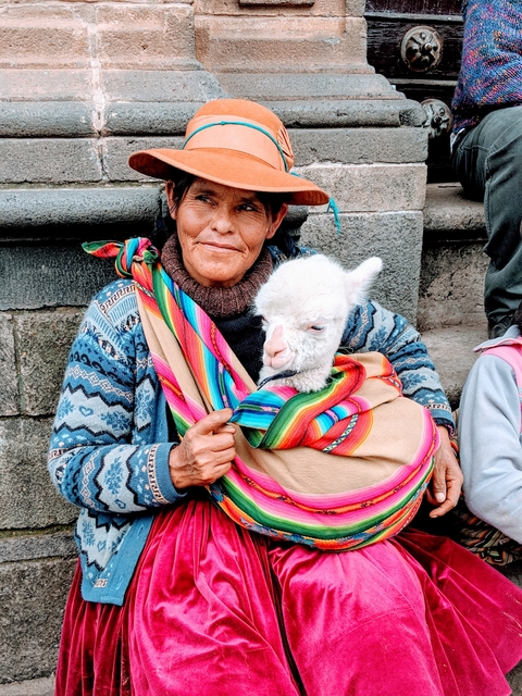A woman holding a baby llama wrapped in a colorful textile.