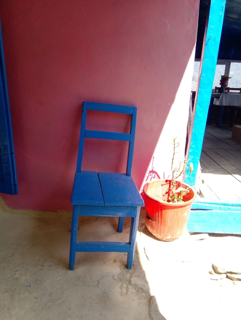       Blue chair next to a potted plant against a colorful wall.
  