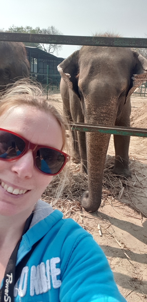 Woman smiling with sunglasses, next to an elephant's legs.