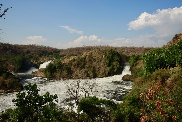 View of waterfalls surrounded by greenery.