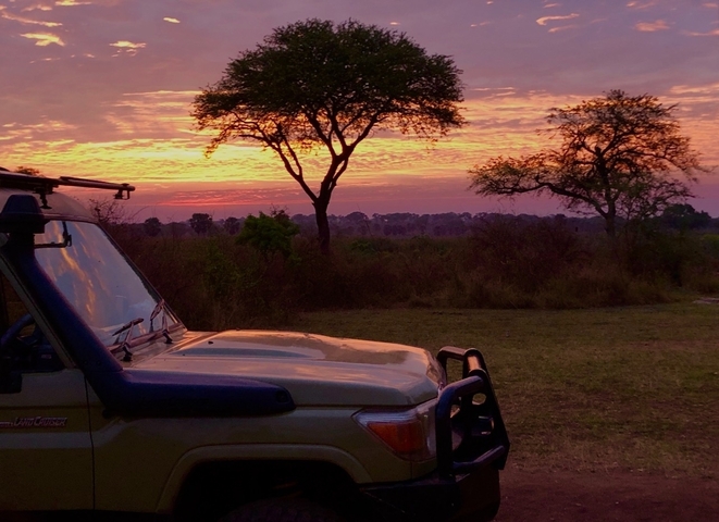 Safari scene with a vehicle and a sunset.