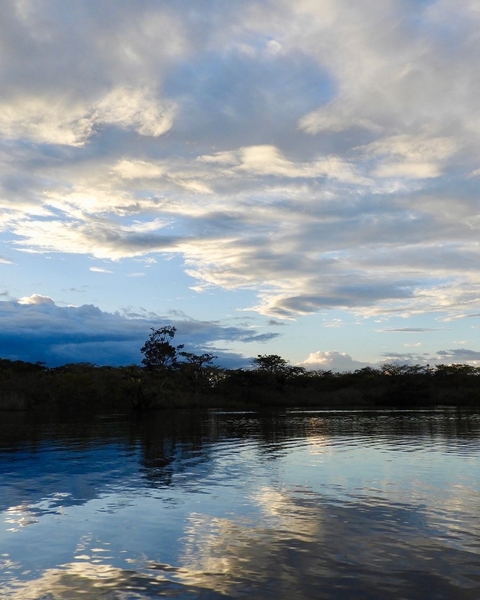 Sunlit river with trees and a cloudy sky.