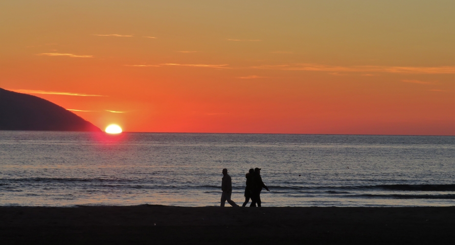       Silhouettes of people walking on a beach during sunset.
  