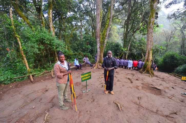 Guides with tourists in a forest setting.