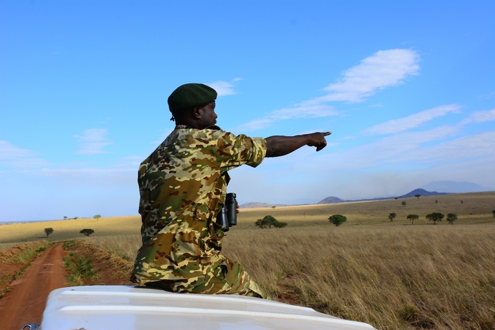 Man in military attire pointing into the distance on a safari.