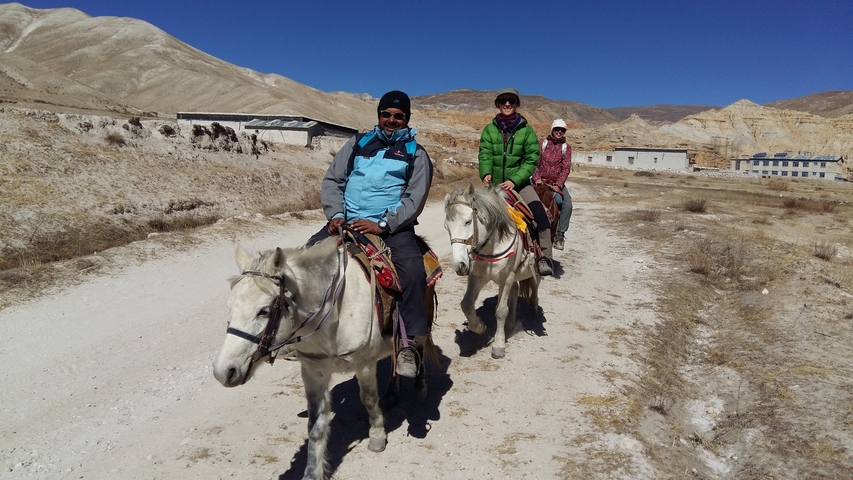 People riding horseback on a dirt path.