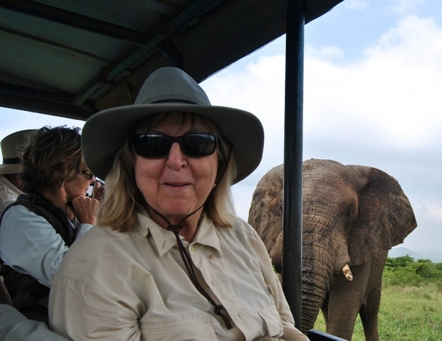 Tourists in a vehicle with an elephant in the background.