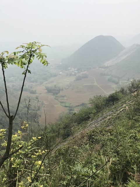 Aerial view of terraced fields and forested hills