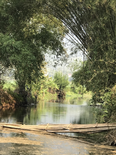       Scenic view of a narrow stream surrounded by vegetation
  
