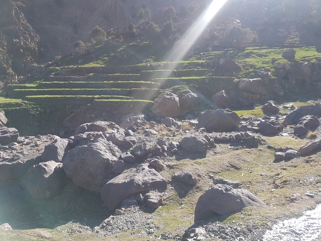 Terraced fields with rocky foreground in sunlight