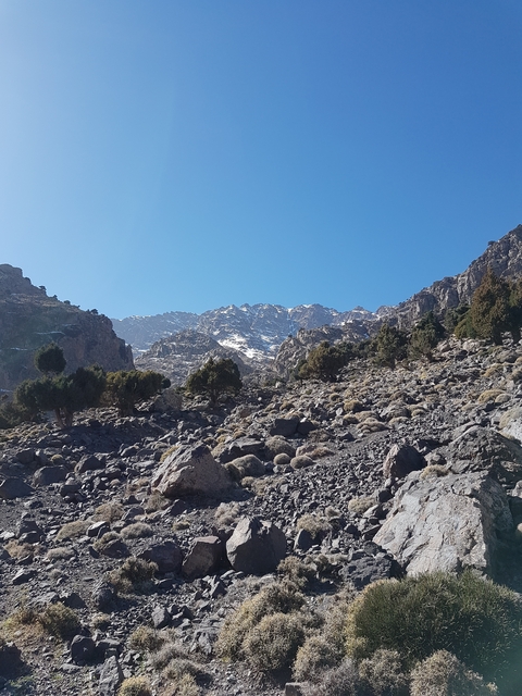 Rugged mountain terrain with sparse vegetation
