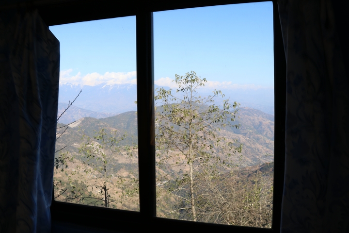       View of mountains from behind a window featuring tree branches.
  