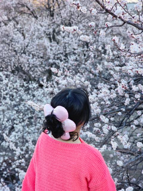 Person in pink standing in front of cherry blossoms.