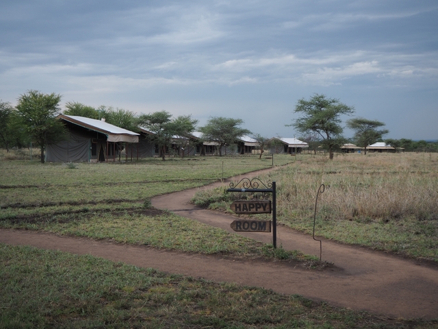 Tent accommodations in a grassy area with a sign reading 'Happy Room'.