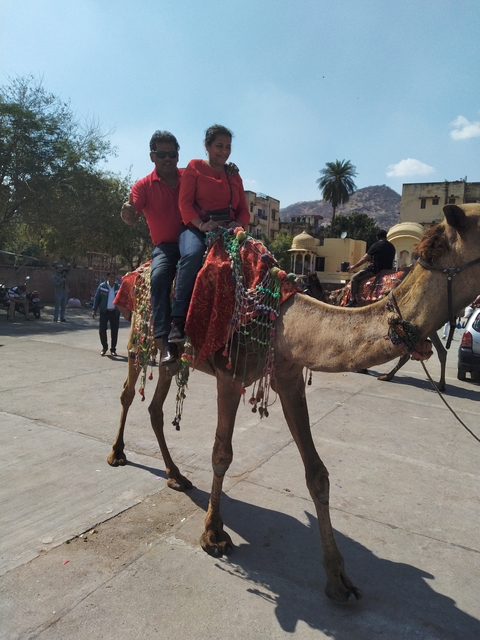 Two people riding a camel in a city area.