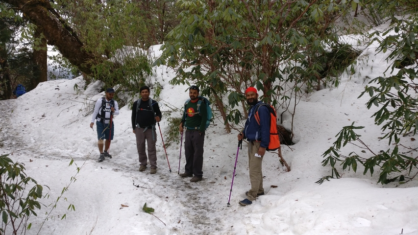       Group of hikers on a snowy trail surrounded by trees.
  
