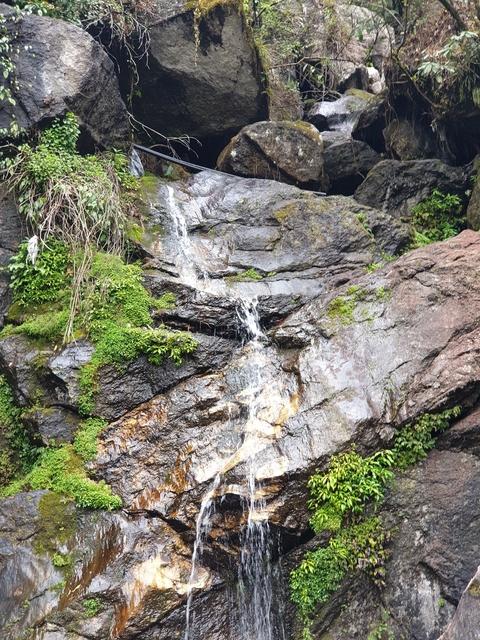       Small waterfall surrounded by rocks and greenery.
  