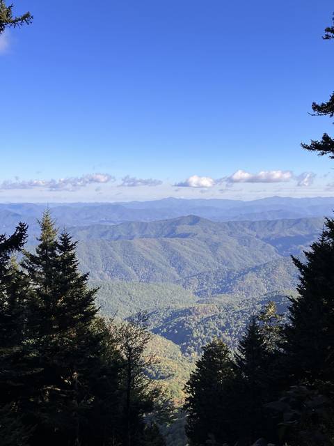 Upside-down mountain landscape with trees.