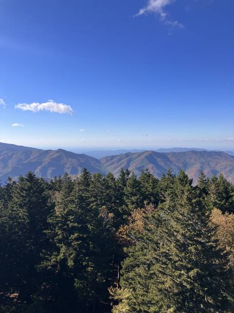 Upside-down view of a mountain range with trees.