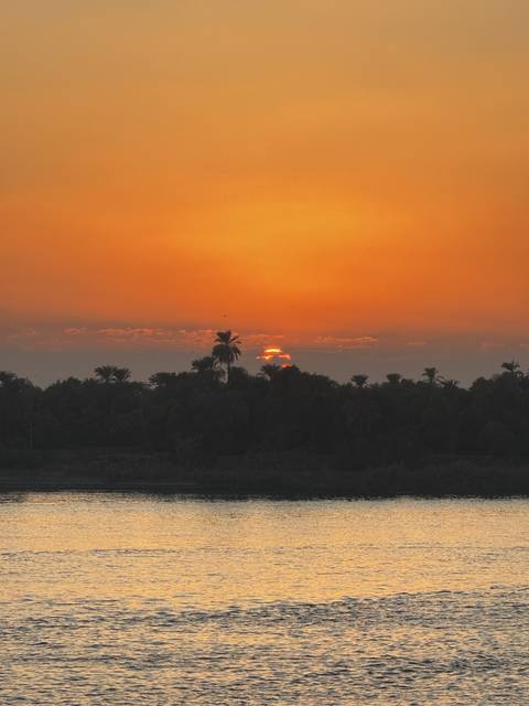       A vibrant sunset over a river with silhouetted palm trees.
  