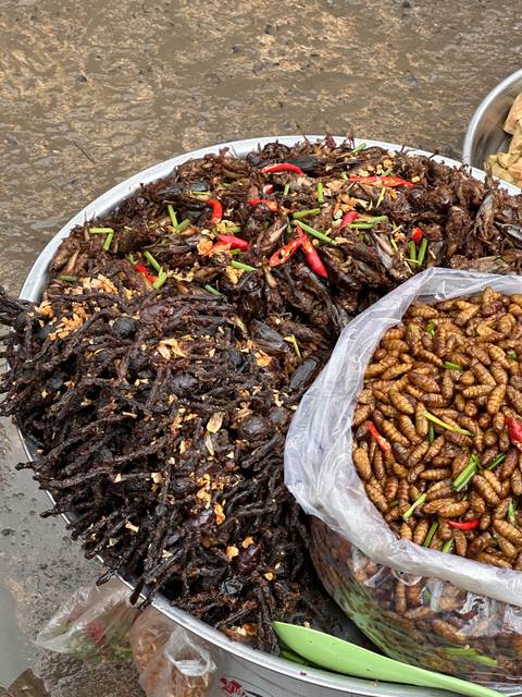       Plate of insects with chili, a delicacy.
  