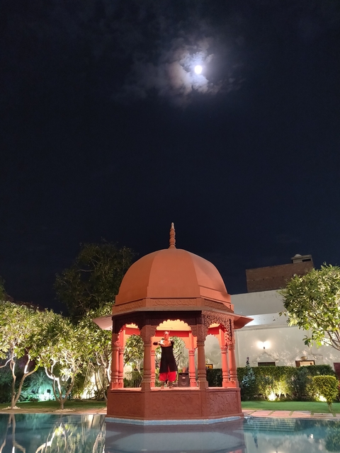       Red dome against a dark night sky with surrounding foliage.
  