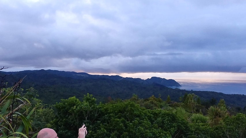 Landscape view of lush greenery and distant mountains with a person taking a photo.