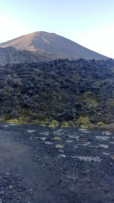 Rocky terrain with scattered vegetation.
