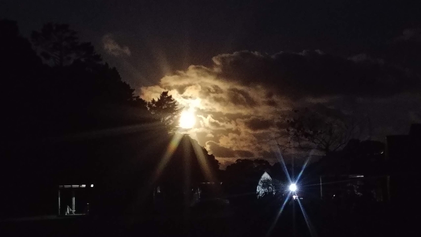 A luminous night sky with moonlight illuminating clouds and trees.