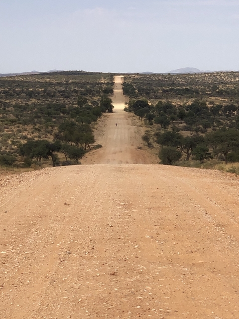Long dirt road through arid landscape with a lone figure.
