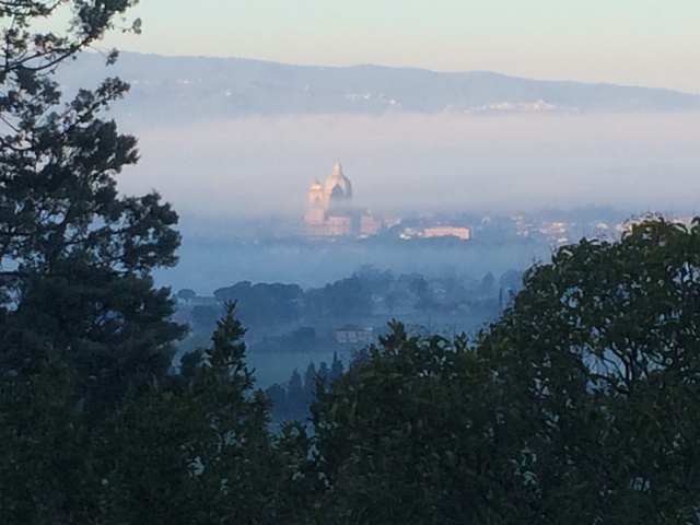 Misty landscape view of a distant city with a dome.