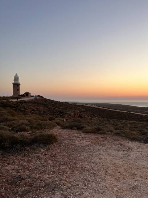       Desert landscape with vehicle marks visible.
  