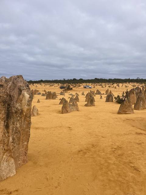 Desert area with sparse vegetation and rock formations.