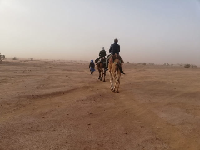       People riding camels in a desert landscape.
  
