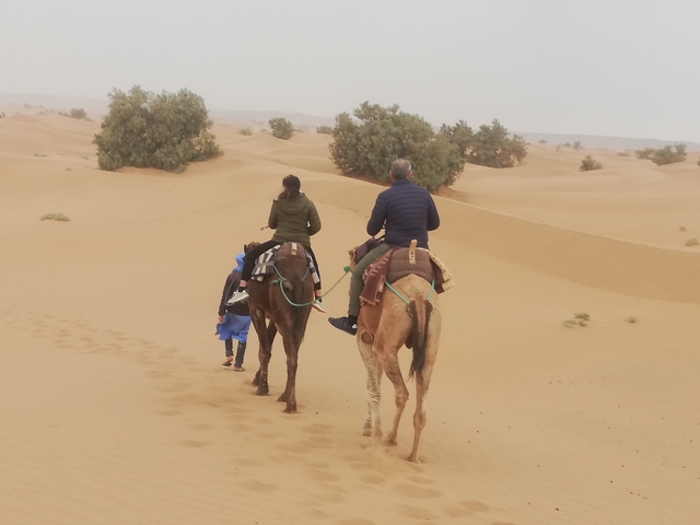 Duplicate image of people riding camels in desert landscape.